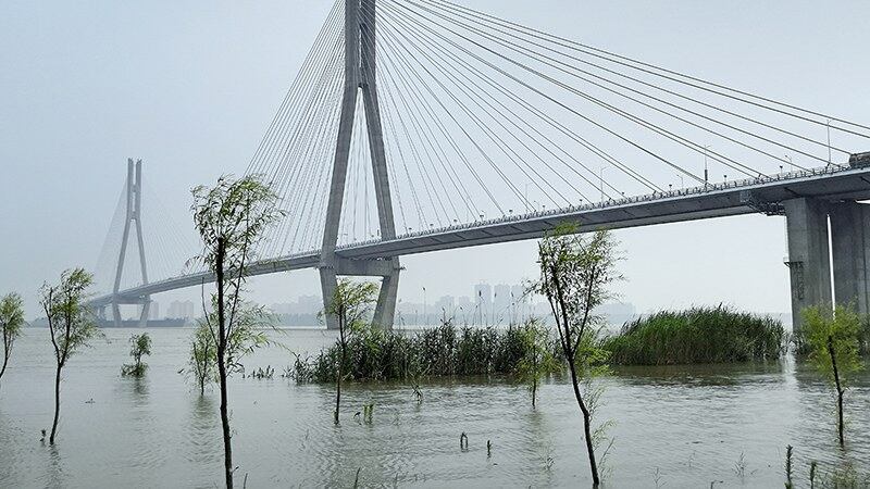 长江安徽安庆段超过警戒水位(Public Domain)