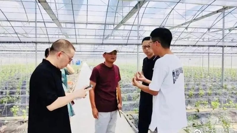网上流传马云9月1日,低调现身浙江平湖的数位菜棚。距离他5月10日公开露面,已将近四个月。(取自网路)