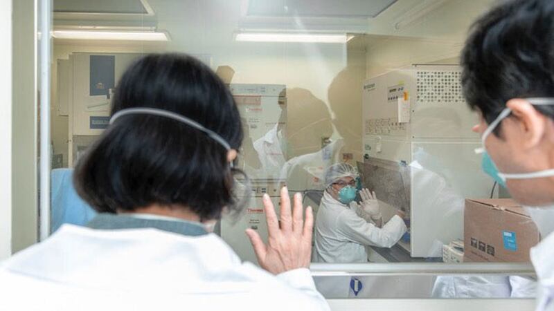 2020年3月19日下午,蔡英文总统视察卫生福利部疾病管制署检验及疫苗研制中心-严重特殊传染性肺炎检验实验室。(总统府提供)