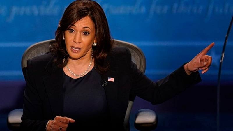 美国大选副总统候选人贺锦丽（美联社）