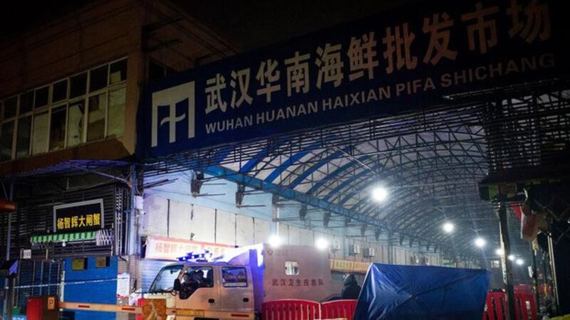 曾经出售活禽及各种野生动物的武汉华南海鲜市场(法新社)