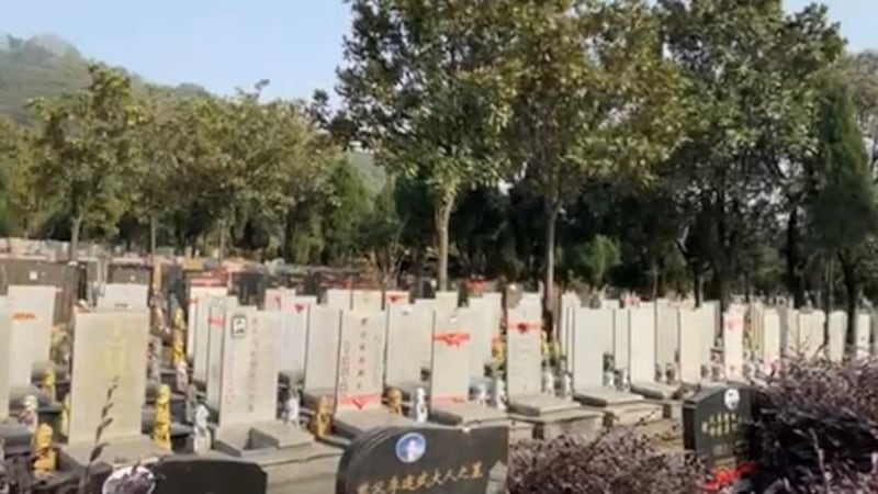 武汉扁担山墓园今年突增许多墓地(志愿者提供/记者乔龙)