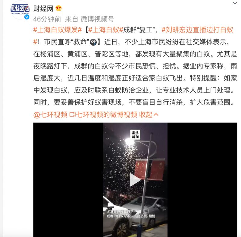 大陆媒体财经网微博发文称,上海白蚁成群复工。(截图自微博)