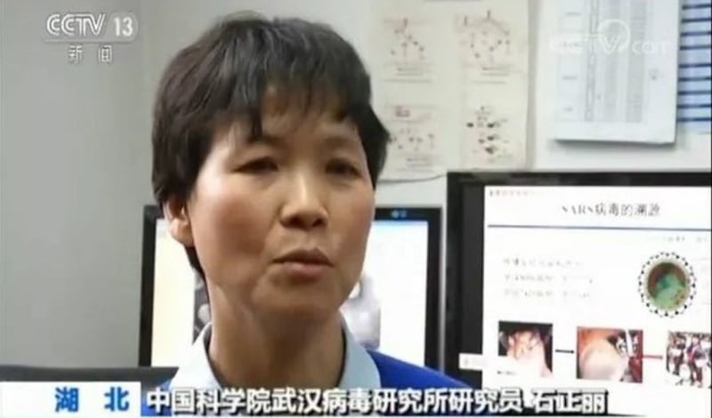 武汉病毒研究所研究员石正丽(视频截图)