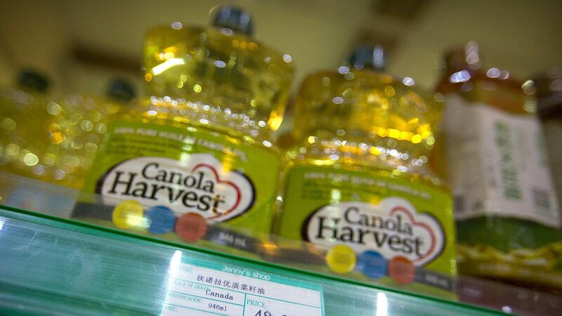 加拿大菜籽油( 美联社)