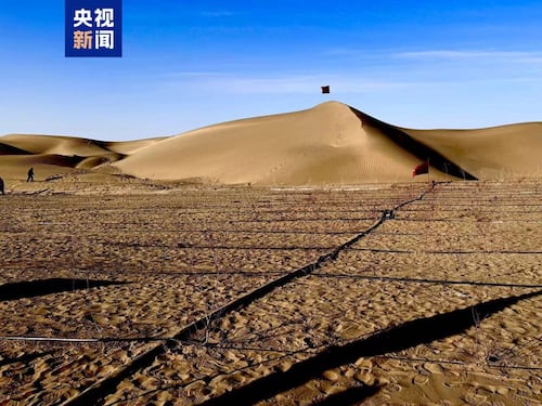 «تەكلىماكان گىرۋىكىنى قاشالاش» كەينىدە…